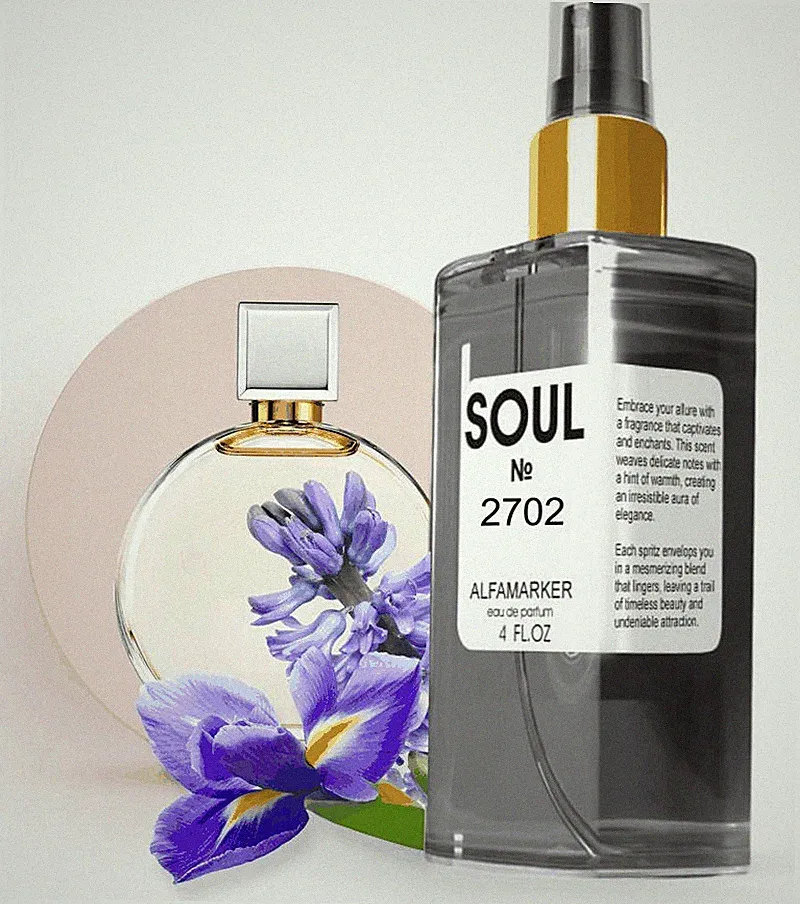 SOUL Inspired by Chance Spray 4.0 Fl Oz / 120 ml Perfume for Women Women Eau